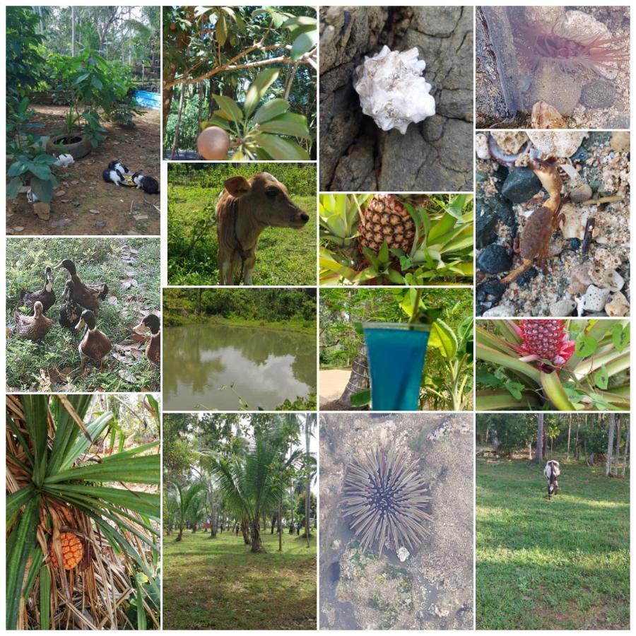 Adhvasaha Beach Spa Resort Port Blair Exterior foto
