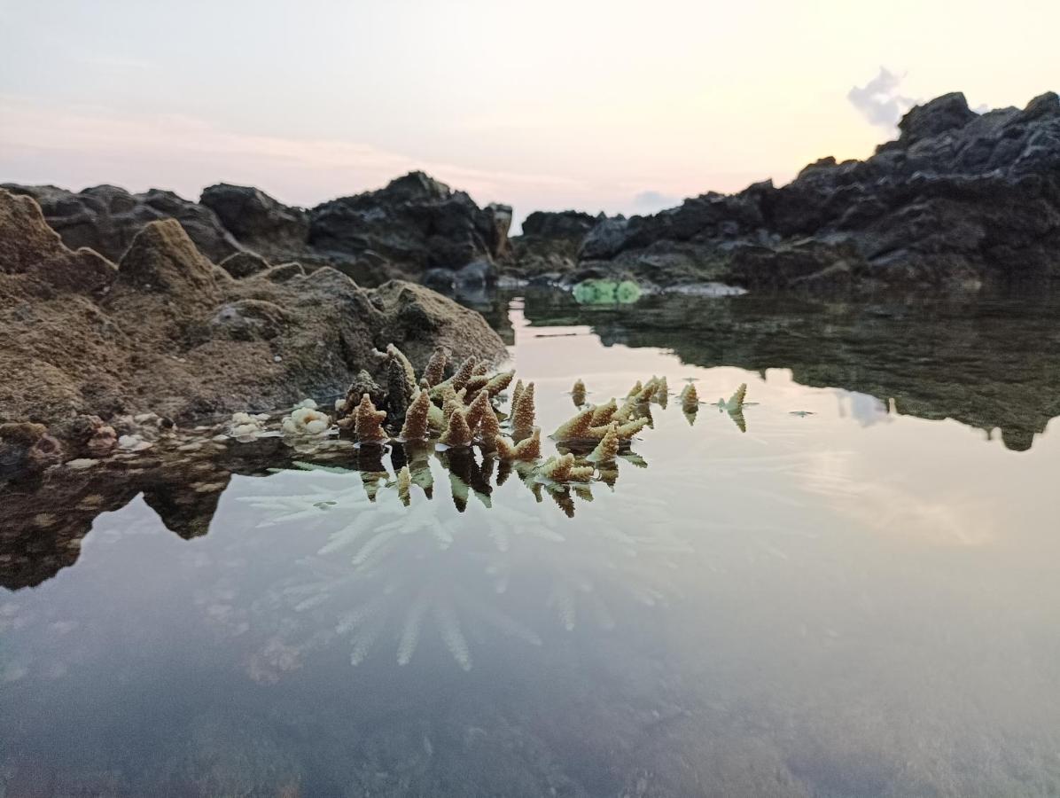 Adhvasaha Beach Spa Resort Port Blair Exterior foto
